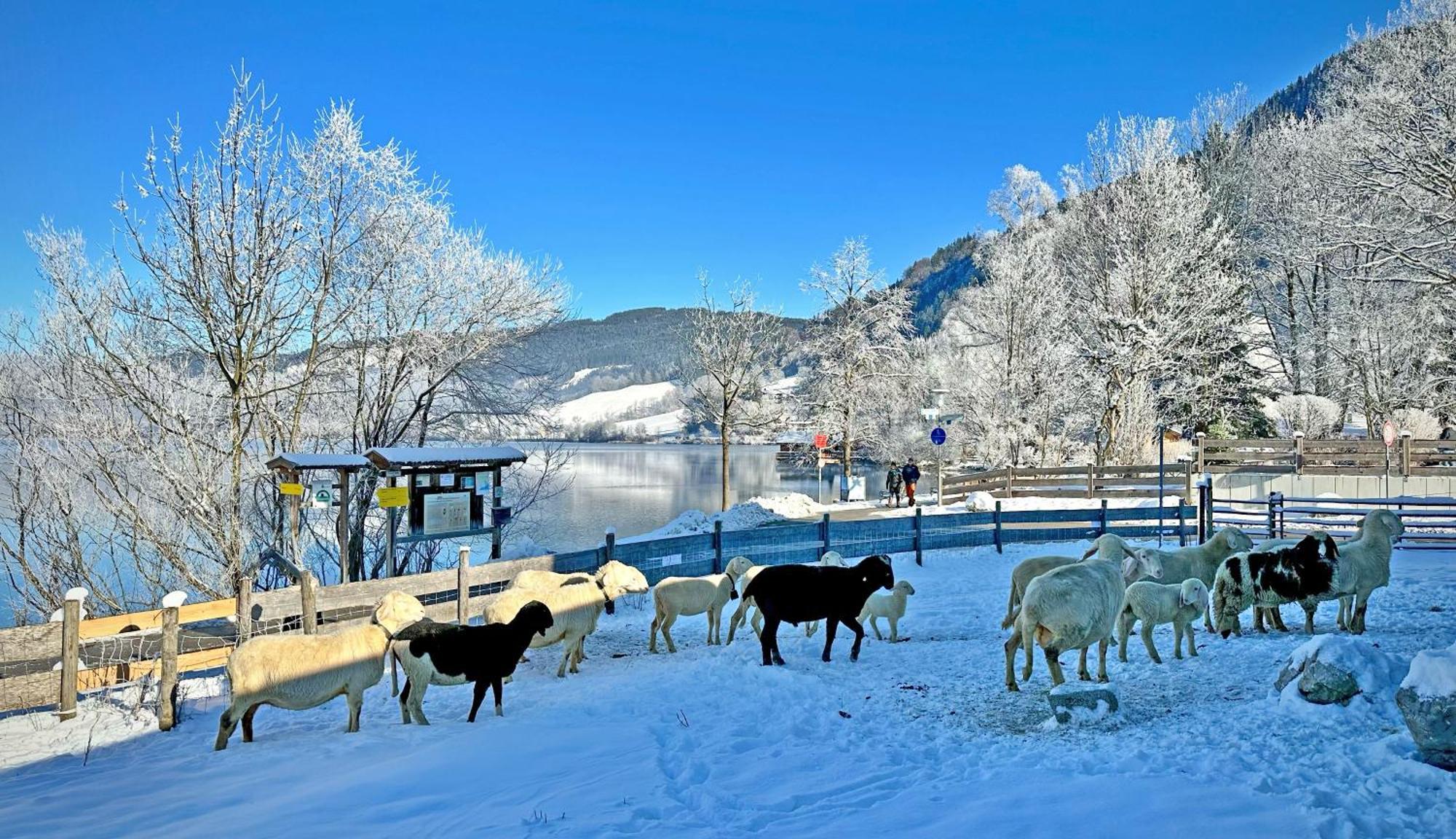Der Anderlbauer Am See Schliersee Exterior foto